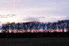 Winter Sunset II Poster Print by Alan Hausenflock - Item # VARPDXPSHSF594