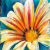 Wild Flower Poster Print by Stacy DAguiar - Item # VARPDXDSP108