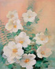 Shiny I Poster Print by Willem Haenraets - Item # VARPDXWH199901