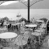 Lake Vista - 14 Poster Print by Alan Blaustein - Item # VARPDXABIT2812