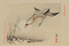 Flying Cranes Poster Print by Unknown - Item # VARPDX342914