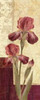 Quattro Sonata III Poster Print by Pamela Gladding - Item # VARPDXGLA492