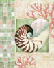 Mosaic Shell Collage I Poster Print by Paul Brent