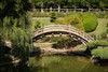 Moon Bridge I Poster Print by Erin Berzel - Item # VARPDXPSBZL820