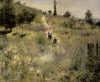 Path Through the Tall Grasses Poster Print by  Pierre-Auguste Renoir - Item # VARPDX279661