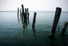 Pilings I Poster Print by Alan Hausenflock - Item # VARPDXPSHSF739