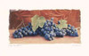 Grape Harvest I Poster Print by Amy Melious - Item # VARPDXMEL204