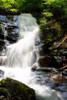 Deep Woods Waterfall I Poster Print by Alan Hausenflock - Item # VARPDXPSHSF1369