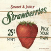 Sweet and Juicy Strawberries Poster Print by David Carter Brown - Item # VARPDX3187