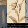 Orchid Collage I Poster Print by Lanie Loreth - Item # VARPDX6761