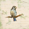 Bird Scene II Poster Print by Lanie Loreth - Item # VARPDX9551J