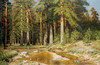 The Mast-Tree Grove Study Poster Print by  Ivan Ivanovich Shishkin - Item # VARPDX265528