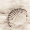 La Mer 3 Poster Print by Alan Blaustein - Item # VARPDXB1333D
