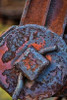Train Details V Poster Print by Kathy Mahan - Item # VARPDXPSMHN387