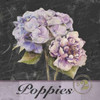 Flower Shop I Poster Print by Patricia Pinto - Item # VARPDX8600F