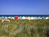 Beach huts in a row Poster Print by  Assaf Frank - Item # VARPDXAF20090616227C02