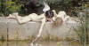 The Rescue Poster Print by  Emile Munier - Item # VARPDX266928