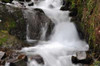 Stream Falls IV Poster Print by Logan Thomas - Item # VARPDXPSTMS111