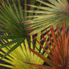 New Organic I Poster Print by Patricia Pinto - Item # VARPDX7877