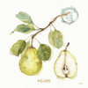 My Greenhouse Fruit I Poster Print by Audit Lisa - Item # VARPDX22222