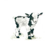 Baby Goat Poster Print by  Carol Robinson - Item # VARPDX17363