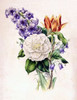 Hyacinth Poster Print by  James Andrews - Item # VARPDXJA11