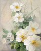 Lovely anemones Poster Print by Willem Haenraets - Item # VARPDXWH082
