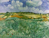 Plain Near Auvers Poster Print by  Vincent Van Gogh - Item # VARPDX281287