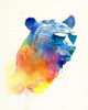 Sunny Bear Poster Print by Robert Farkas - Item # VARPDXF465D