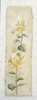http://c328301.r1.cf1.rackcdn.com/PDXJU004SMALL.jpg