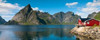 http://c328301.r1.cf1.rackcdn.com/PDXAF20100708054C04LARGE.jpg