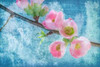 Flowering Quince III Poster Print by Kathy Mahan - Item # VARPDXPSMHN566
