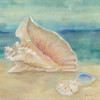 Horizon Shells III Poster Print by Cynthia Coulter - Item # VARPDXRB8293CC