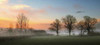 The Mist Poster Print by Adelino Goncalves - Item # VARPDXG659D