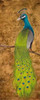 Peacocks I Poster Print by  Josefina - Item # VARPDX8648