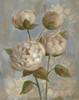 Peony on Soft Blue - Original Poster Print by Silvia Vassileva - Item # VARPDX5207