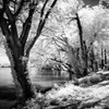 Spring on the River Square II Poster Print by Alan Hausenflock - Item # VARPDXPSHSF791