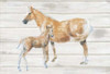 Horse and Colt on Wood Poster Print by Emily Adams - Item # VARPDX23867