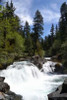 Rapids I Poster Print by Brian Moore - Item # VARPDXPSMRE146