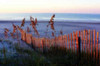 Sunrise in the Dunes Poster Print by Alan Hausenflock - Item # VARPDXPSHSF197
