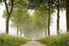 This Appears Poster Print by Lars Van de Goor - Item # VARPDXV520D