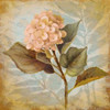 Pink Hydrangea Portrait Poster Print by Lanie Loreth - Item # VARPDX8486