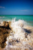 Rising Tide II Poster Print by Susan Bryant - Item # VARPDX8953