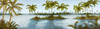 Cool Tropics II Poster Print by Michael Marcon - Item # VARPDX7035A