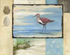 Sandpiper Collage II Poster Print by Paul Brent - Item # VARPDXBNT247