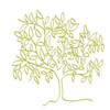 A Citron Tree Poster Print by Jan Weiss - Item # VARPDXW717D
