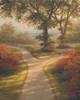 Morning Light II Poster Print by Michael Marcon - Item # VARPDX6342