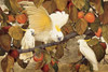 Persimmons and Cockatoos Poster Print by  Jesse Arms Botke - Item # VARPDXCC3313