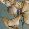 Translucent Magnolias Poster Print by Lanie Loreth - Item # VARPDX6217B
