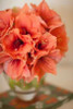Peach Bouquet Poster Print by Karyn Millet - Item # VARPDXPSMLT247